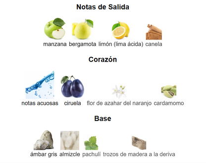 HAWAS RASASI PARA HOMBRE